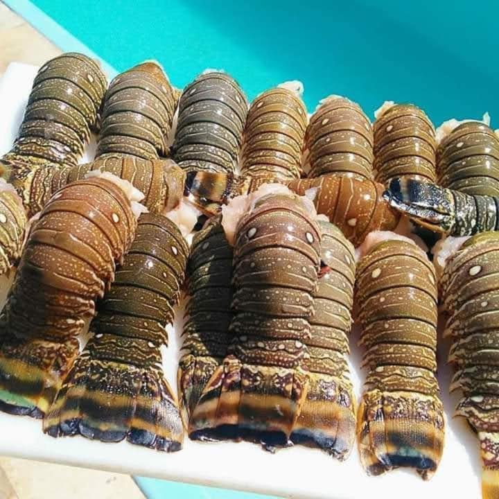 Pousada A Vida E Bela Águas Belas Buitenkant foto